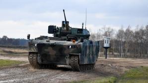 Borsuk na testach poligonowych